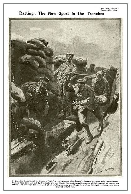 trenches in world war 1. in World War I, see: